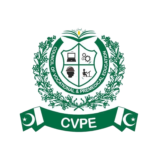 Adobe Express - file